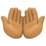 手掌向上：中等肤色emoji素材一 160x160像素