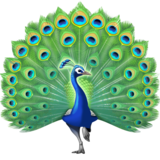 孔雀emoji素材一 160x160像素