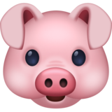 猪脸emoji素材一 160x160像素