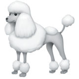 贵宾犬emoji素材一 160x160像素