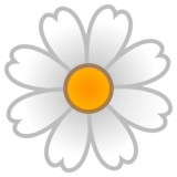 开花emoji素材一 160x160像素