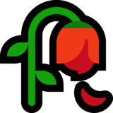 枯萎的花emoji素材一 160x160像素