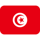 旗帜：突尼斯emoji素材一 160x160像素