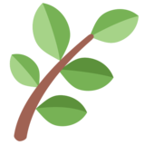 草本植物emoji素材一 160x160像素