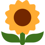 向日葵emoji素材一 160x160像素