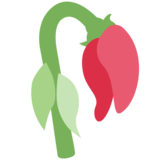 枯萎的花emoji素材一 160x160像素