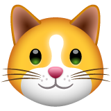 猫脸emoji素材一 160x160像素
