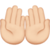 苹果系统里的手掌向上:浅肤色emoji表情