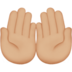 苹果系统里的手掌向上:中等浅肤色emoji表情