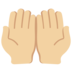 Twitter里的手掌向上:中等浅肤色emoji表情