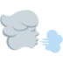 Twitter里的迎风面emoji表情