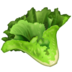WhatsApp里的绿叶emoji表情