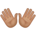 WhatsApp里的双手张开：中等肤色emoji表情