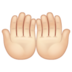 WhatsApp里的手掌向上:浅肤色emoji表情