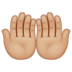 WhatsApp里的手掌向上:中等浅肤色emoji表情