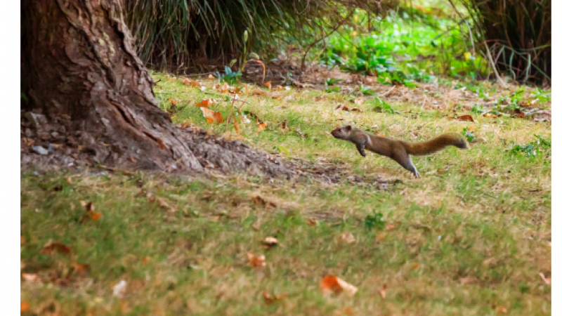 秋天与emoji表情更配哦缩略图