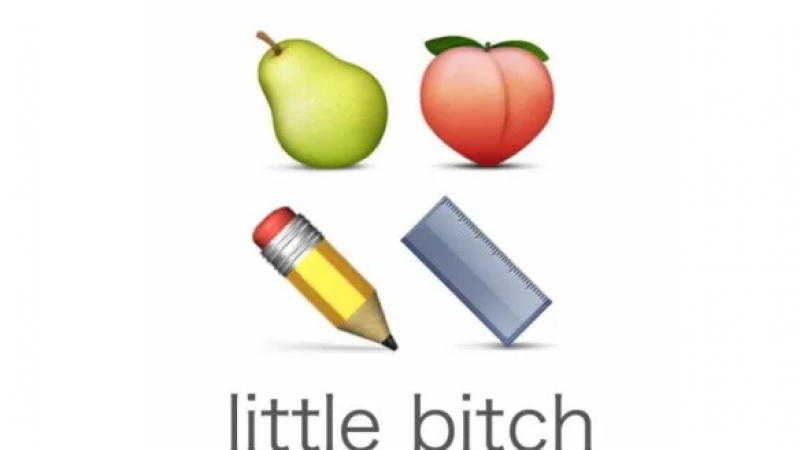 emoji表情包 |快来，这有个little 小 bitch缩略图