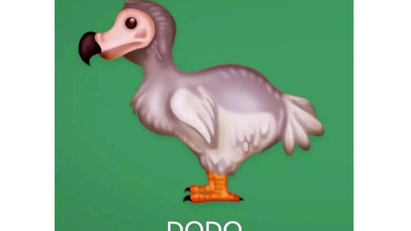 EMOJI 里的渡渡鸟，竟是二次元王者？缩略图