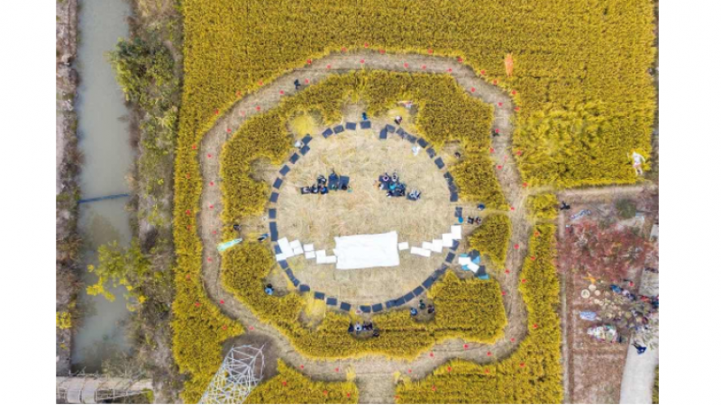 微笑脸、哭泣脸、戴口罩的脸都有，崇明稻田现巨型emoji表情包缩略图