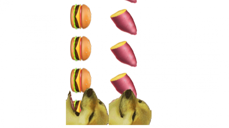 emoji表情包 | 柴犬疯狂吃东西 魔性动图