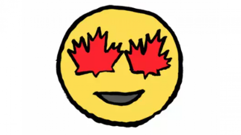 枫叶国全民卖萌：看看加拿大最火的特色emoji聊天表情包缩略图