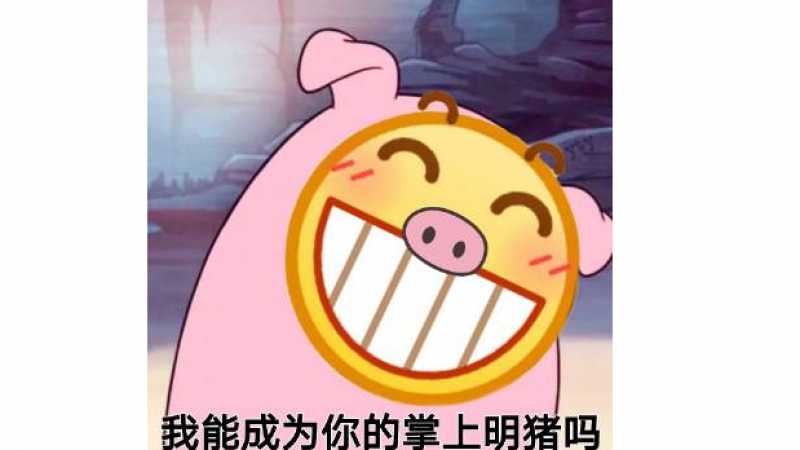 emoji表情包 |  我能成为你的掌上明猪吗？缩略图
