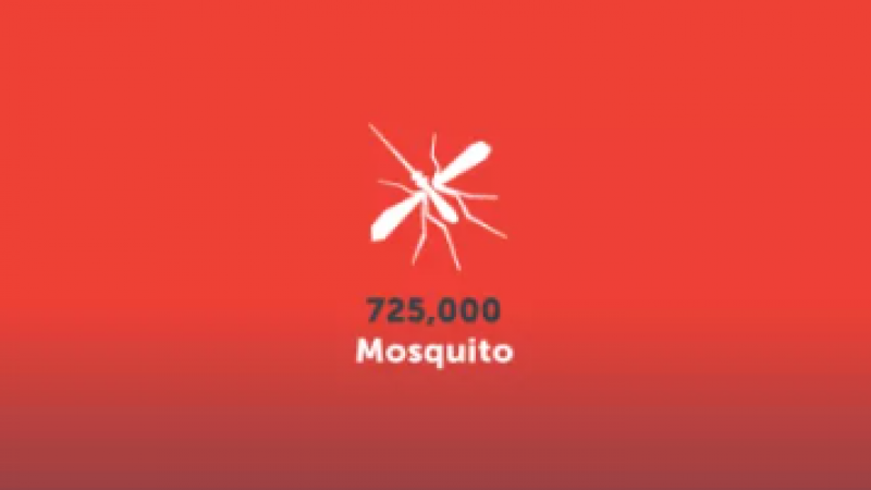 讨厌的蚊子竟然入选emoji，凭什么呀？缩略图