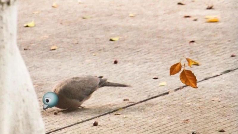 生活奇趣 | Emoji With Me