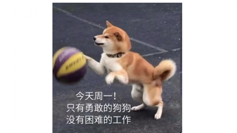 表情包 | 只有勇敢的狗狗，没有困难的工作