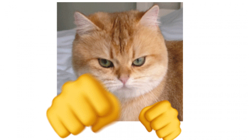 emoji表情包 | 小黄人打拳表情包