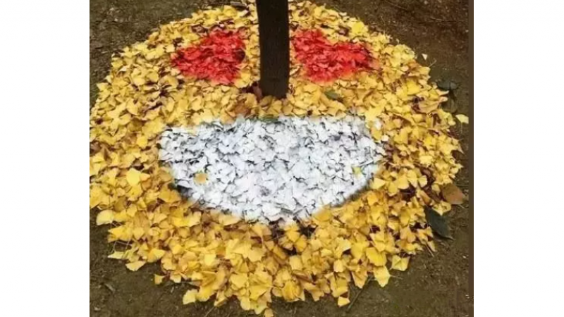 【有趣】银杏版Emoji表情包缩略图