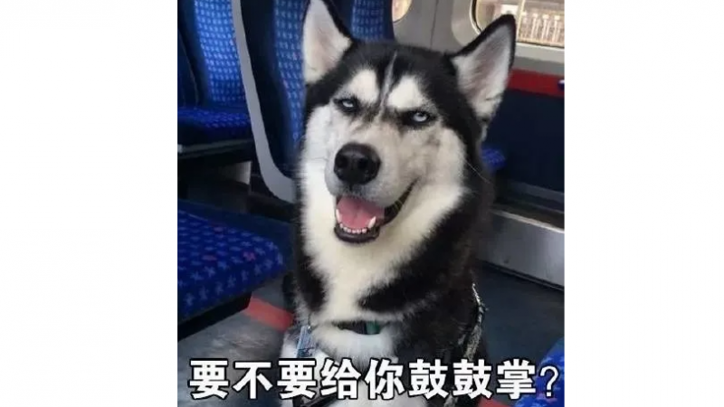 哈士奇表情包 |专为表情包而生的狗狗！缩略图