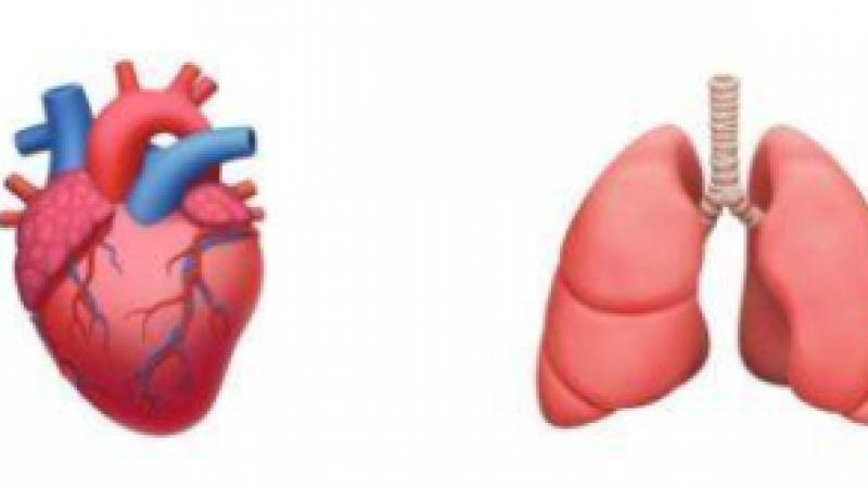 有效促进医病沟通，医师希望更多“医学用Emoji”推出缩略图