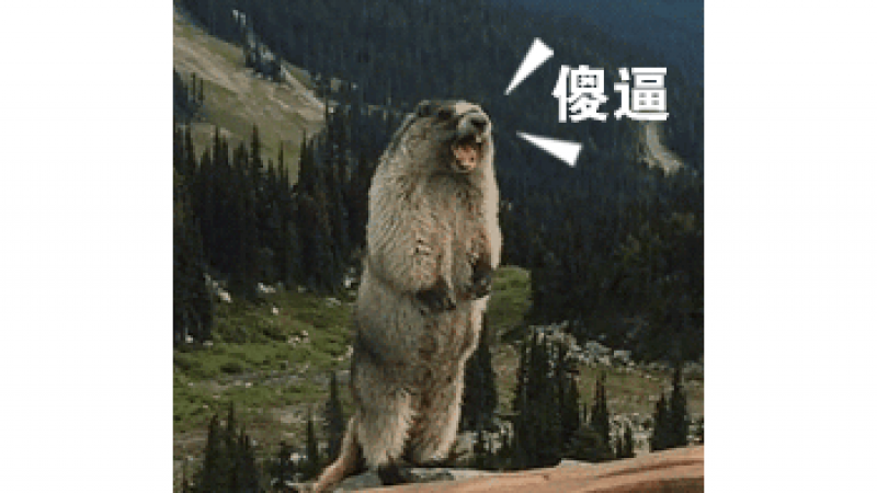 表情包|土拨鼠尖叫表情包集合缩略图