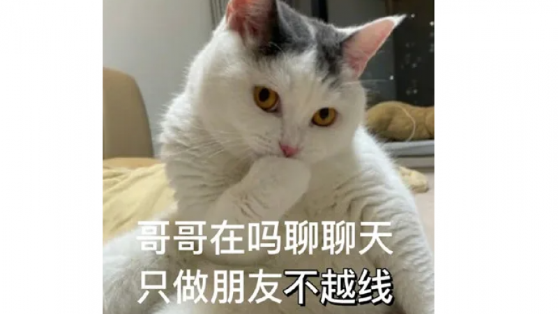 油腻猫咪表情包大全