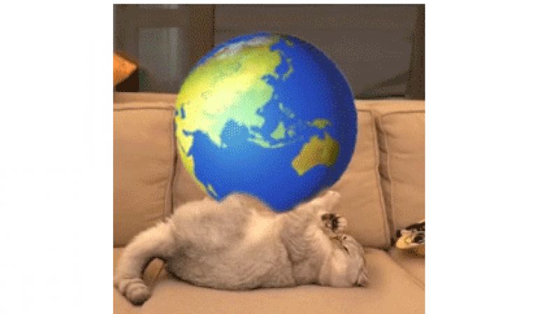 emoji表情包 | 猫咪转微信大黄脸 动态表情包