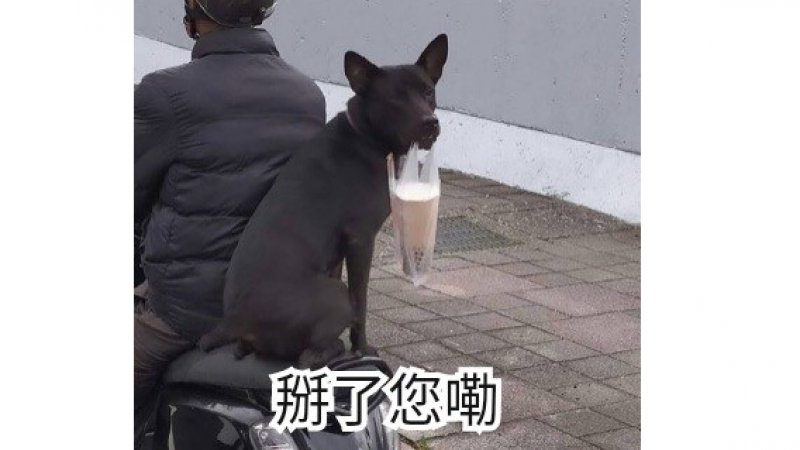 天气冷了，要靠奶茶续命了表情包缩略图