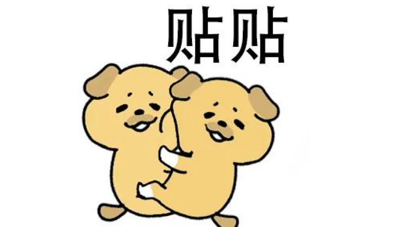 沙雕小黄狗表情包 |我把你对象抱来了 他说他太想你了缩略图