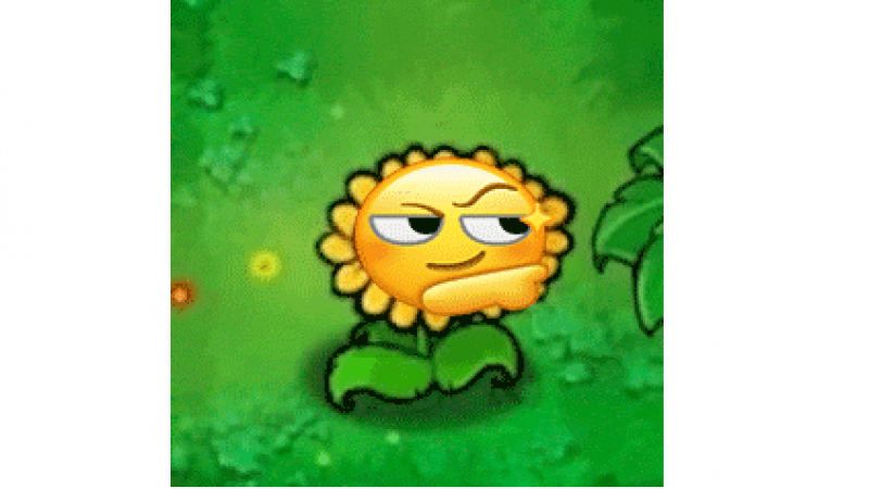 表情包 | 大黄脸 x 植物大战僵尸 向日葵 动图缩略图