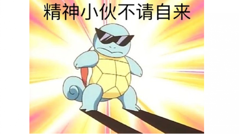 杰尼龟表情包|精神小伙不请自来缩略图
